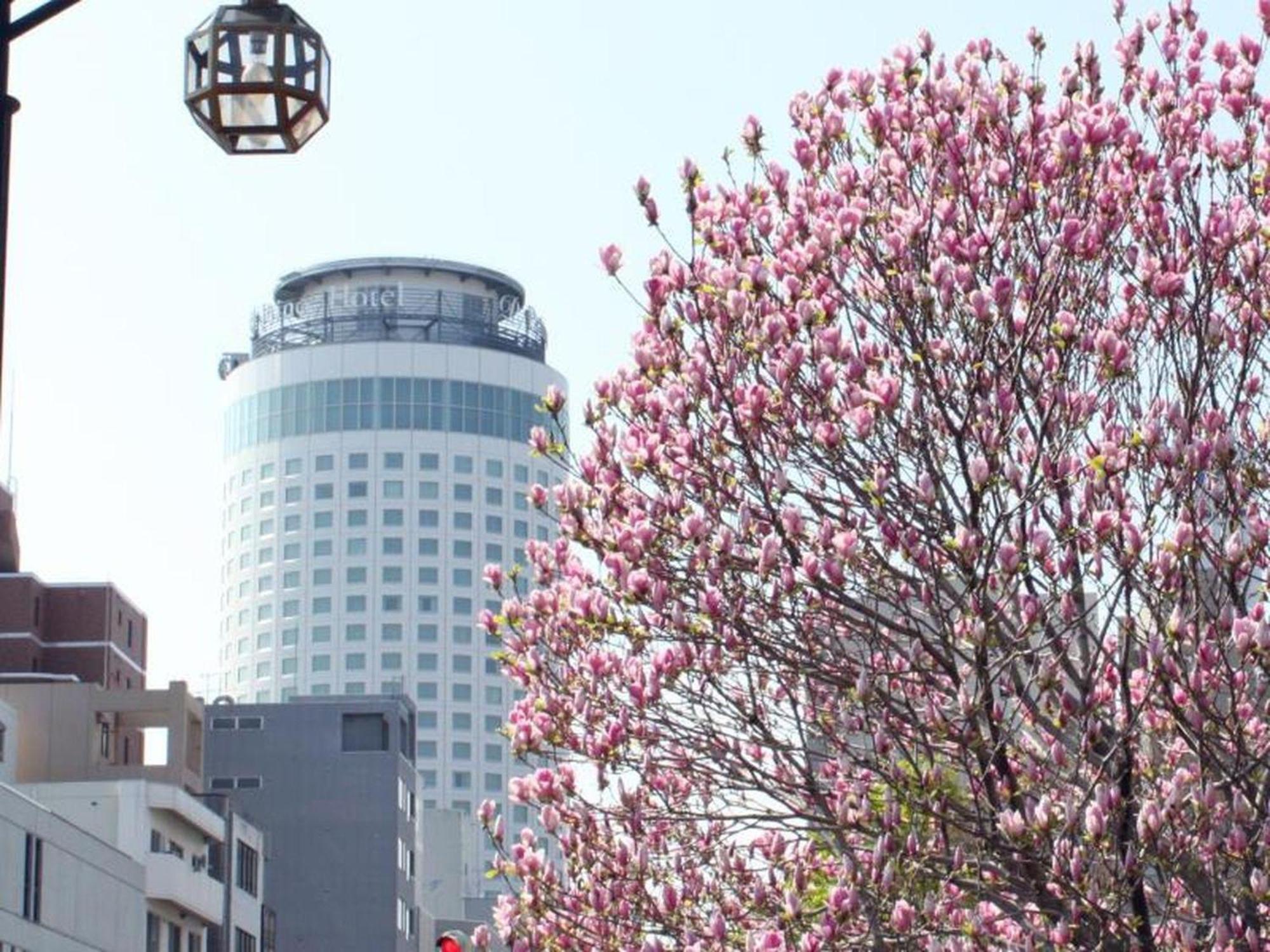 Sapporo Prince Hotel Eksteriør billede